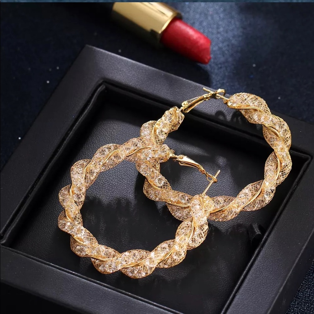 *LAST PAIR* NWT Twisted Hoop Earrings - Picture 2 of 4